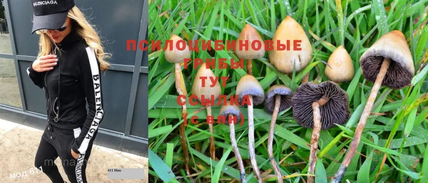 меф Нягань