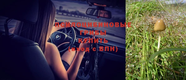 меф Нягань