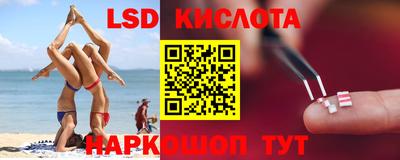 Альфа ПВП Кандалакша