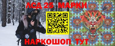 амф Камышлов