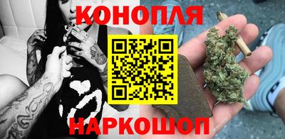 Альфа ПВП Кандалакша