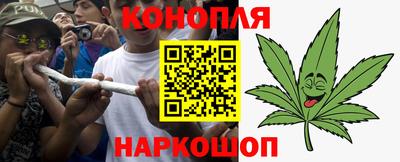 Альфа ПВП Кандалакша