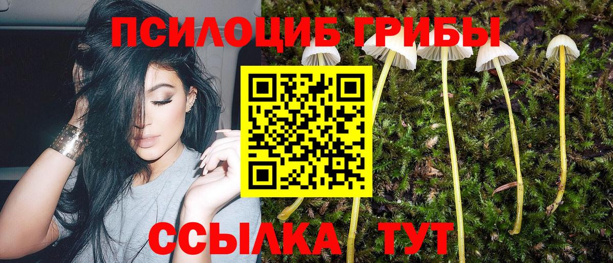 Псилоцибиновые грибы Cubensis  Галлюциногенные грибы Psilocybine cubensis  Азов 