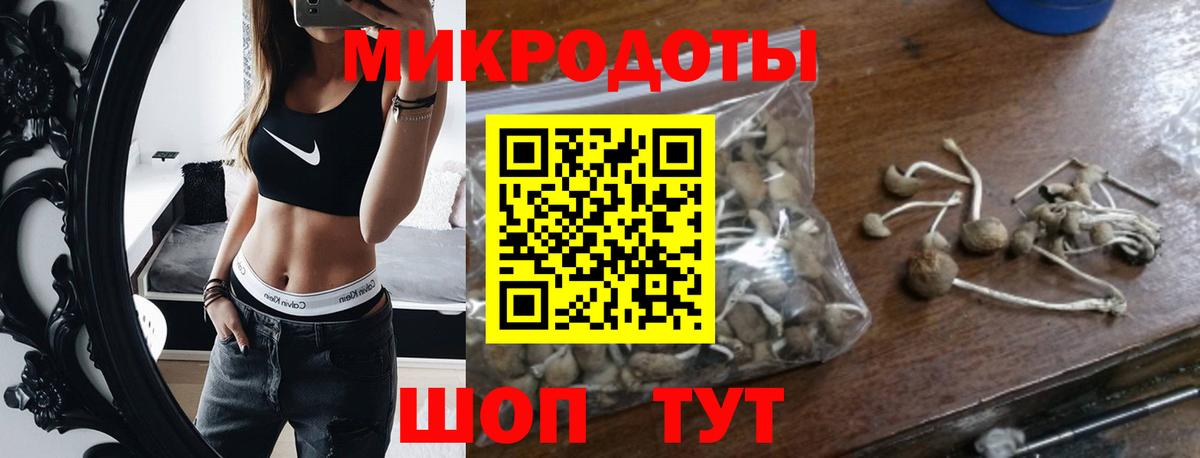 Галлюциногенные грибы GOLDEN TEACHER  Вход с VPN  продажа наркотиков  Азов  Псилоцибиновые грибы ЛСД 